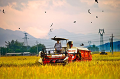 助力農業現代化